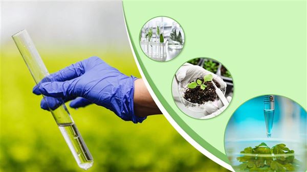  Nâng cao năng lực quan trắc và phân tích môi trường
